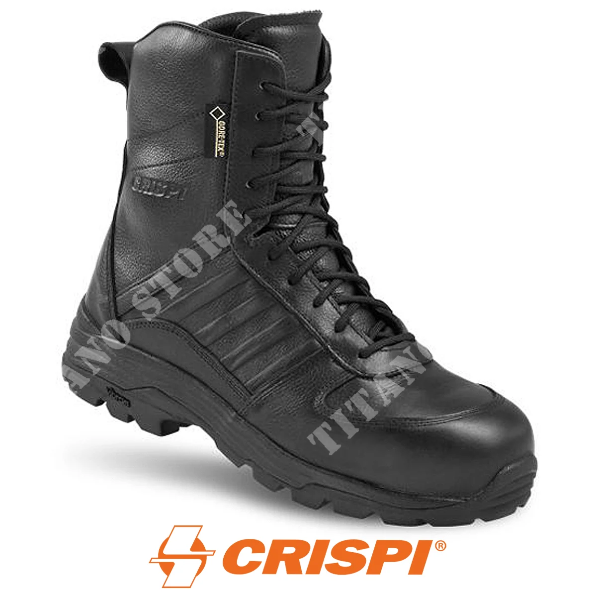 BOTAS SWAT EVO S3 GTX NEGRO CRISPI (BL7100 9900)