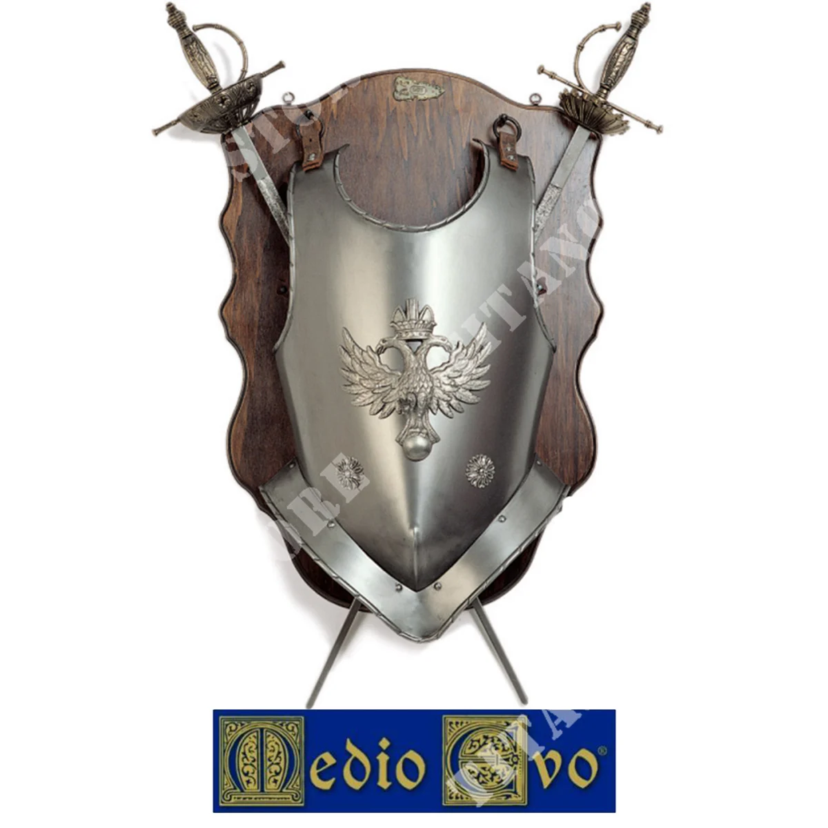 PANEL CON ESPADAS PECTORALES Y DE MEDIA EDAD (804/C.01)