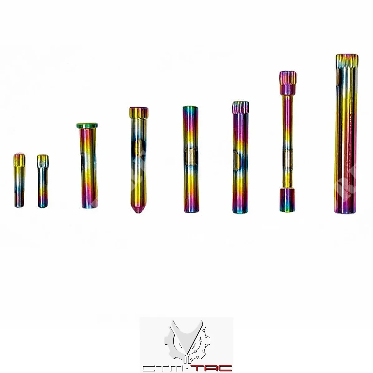 JUEGO DE PASADORES DE ACERO AAP01 CAMALEÓN ARCOÍRIS CTM (CTM0042-ECH)
