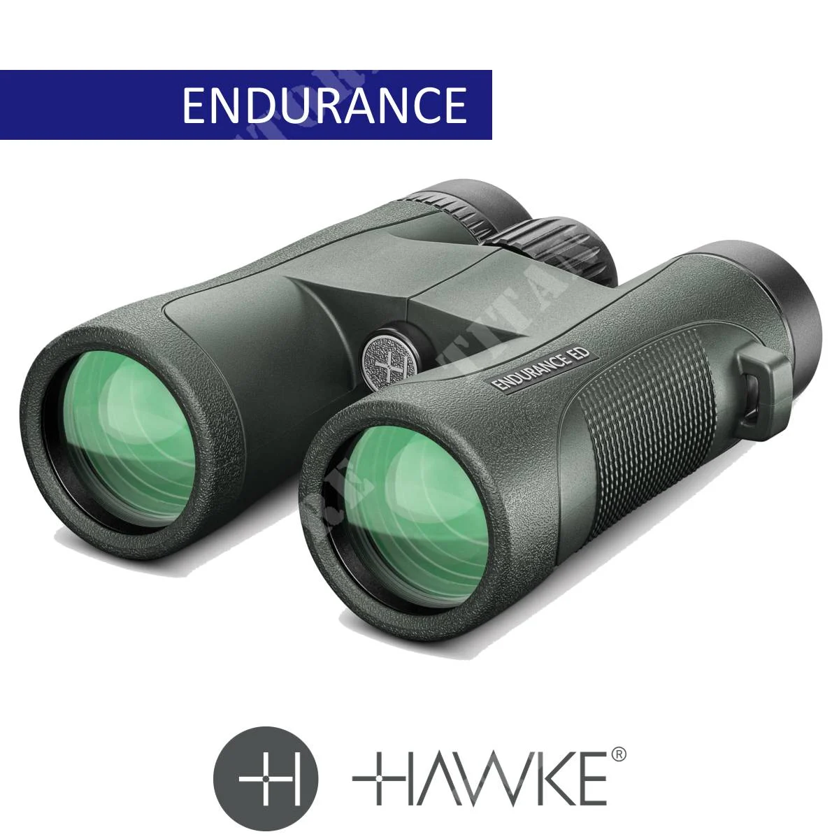 BINOCULARES ENDURANCE ED 8X42 GREEN HAWKE (36205) 421660