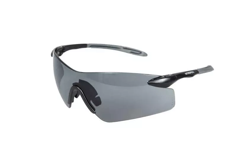 Gafas de sol Intrepid II Gris